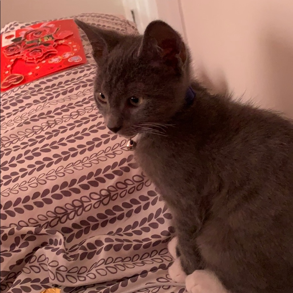 Lil juju